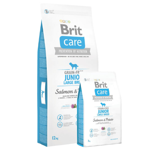 BRIT CARE GF JUNIOR LARGE BREED SALMON POTATO