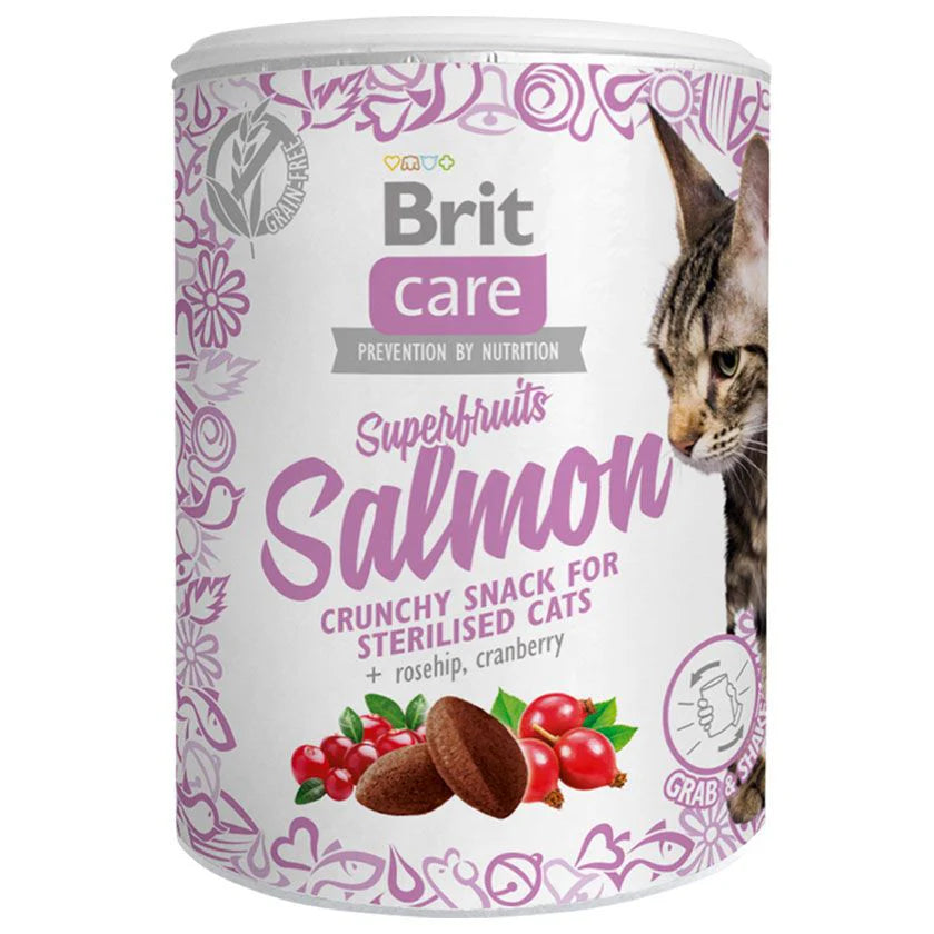 BRITE CARE CAT SNACK SUPERFRUITS SALMON 100 GR